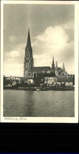 Schleswig holstein dom - holstein,