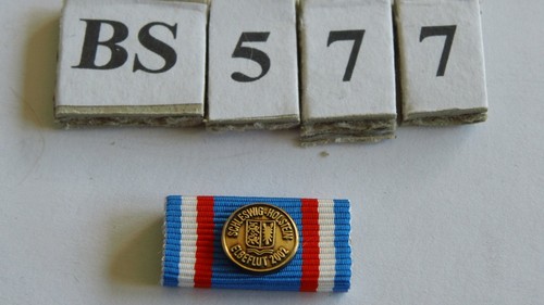 Bandspange schleswig holstein - schleswig,
