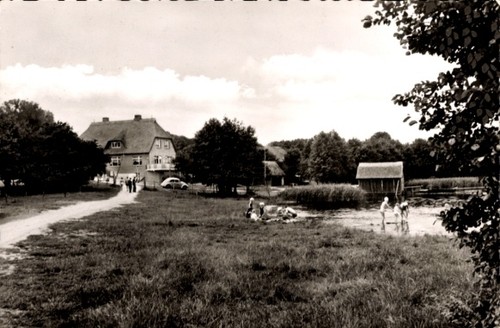 Wrohe westensee in - westensee,