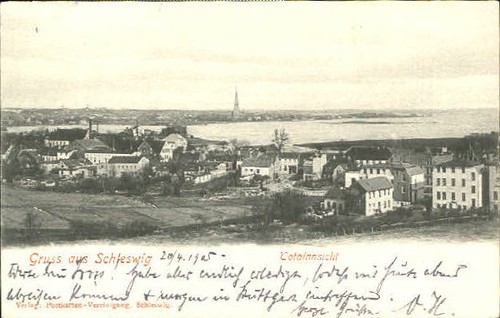 Schleswig holstein - holstein,